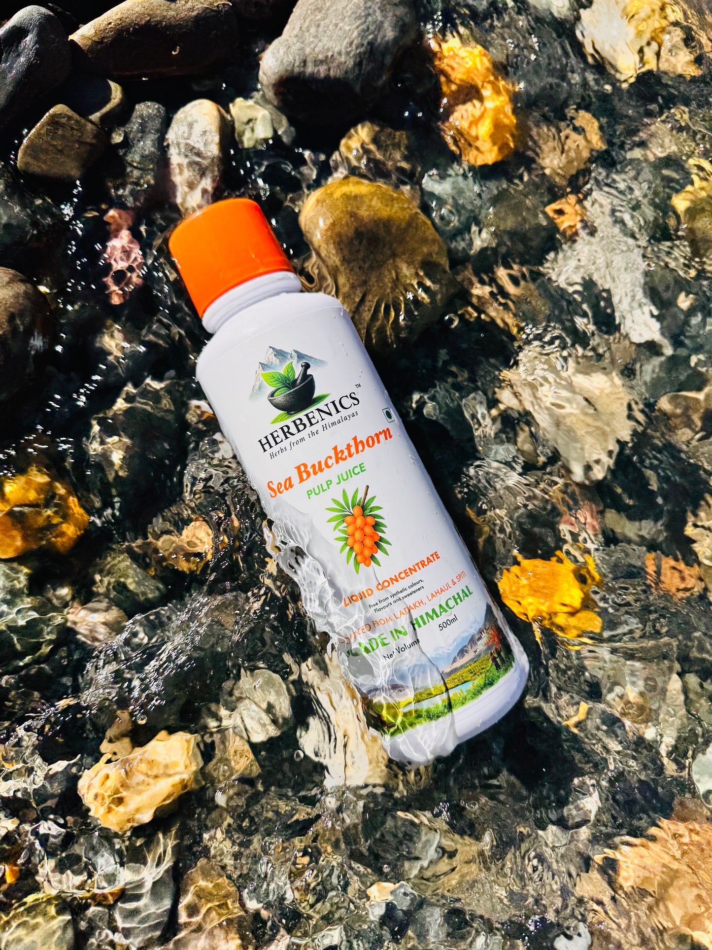 Sea Buckthorn Made In Himachal Pulp Juice, Liquid Concentrate 500ml