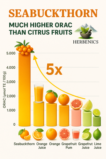 Seabuckthorn Made in Himachal Pulp Juice, Liquid Concentrate 250ML