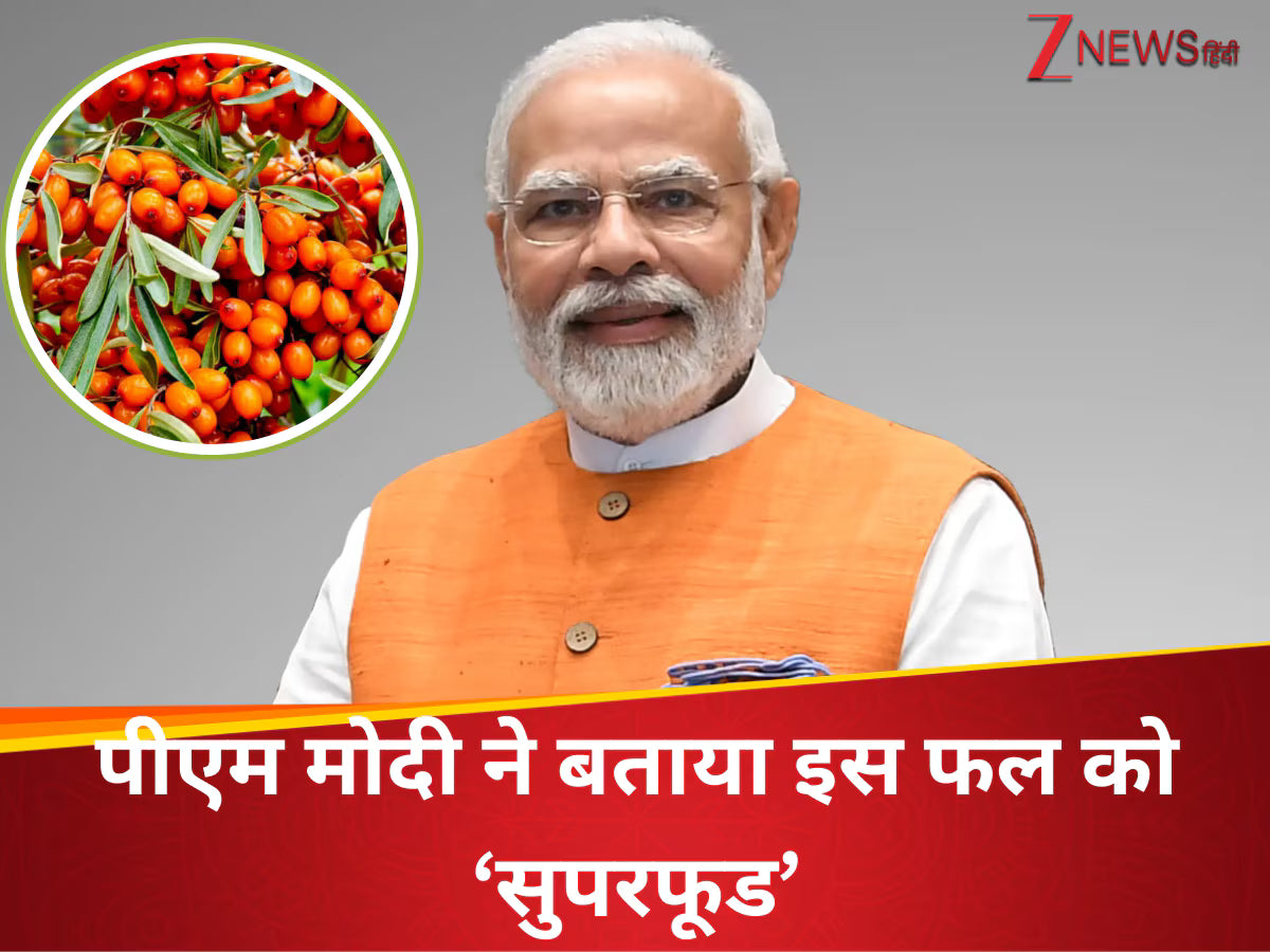 Load video:  PM Modi has praised Sea Buckthorn (Leh Berry) for its rich nutrition, boosting immunity, heart health, and skin vitality. Even DRDO uses it for soldiers in Siachen. Herbenics brings this power to you.