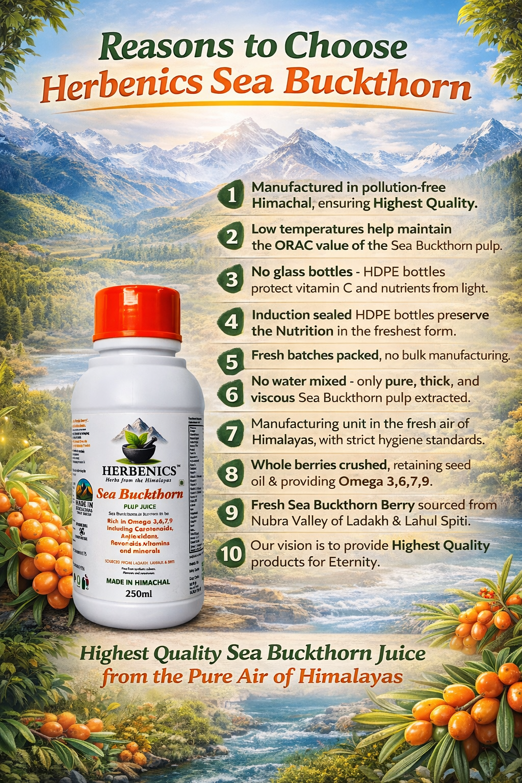 Seabuckthorn Made in Himachal Pulp Juice, Liquid Concentrate 250ML