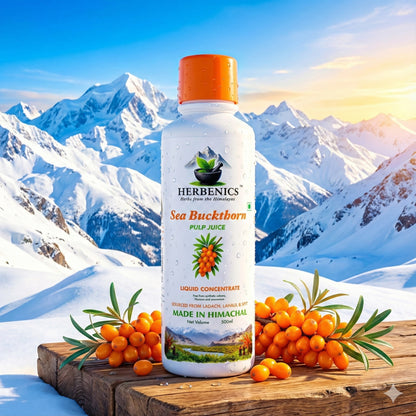 Sea Buckthorn Made In Himachal Pulp Juice, Liquid Concentrate 500ml