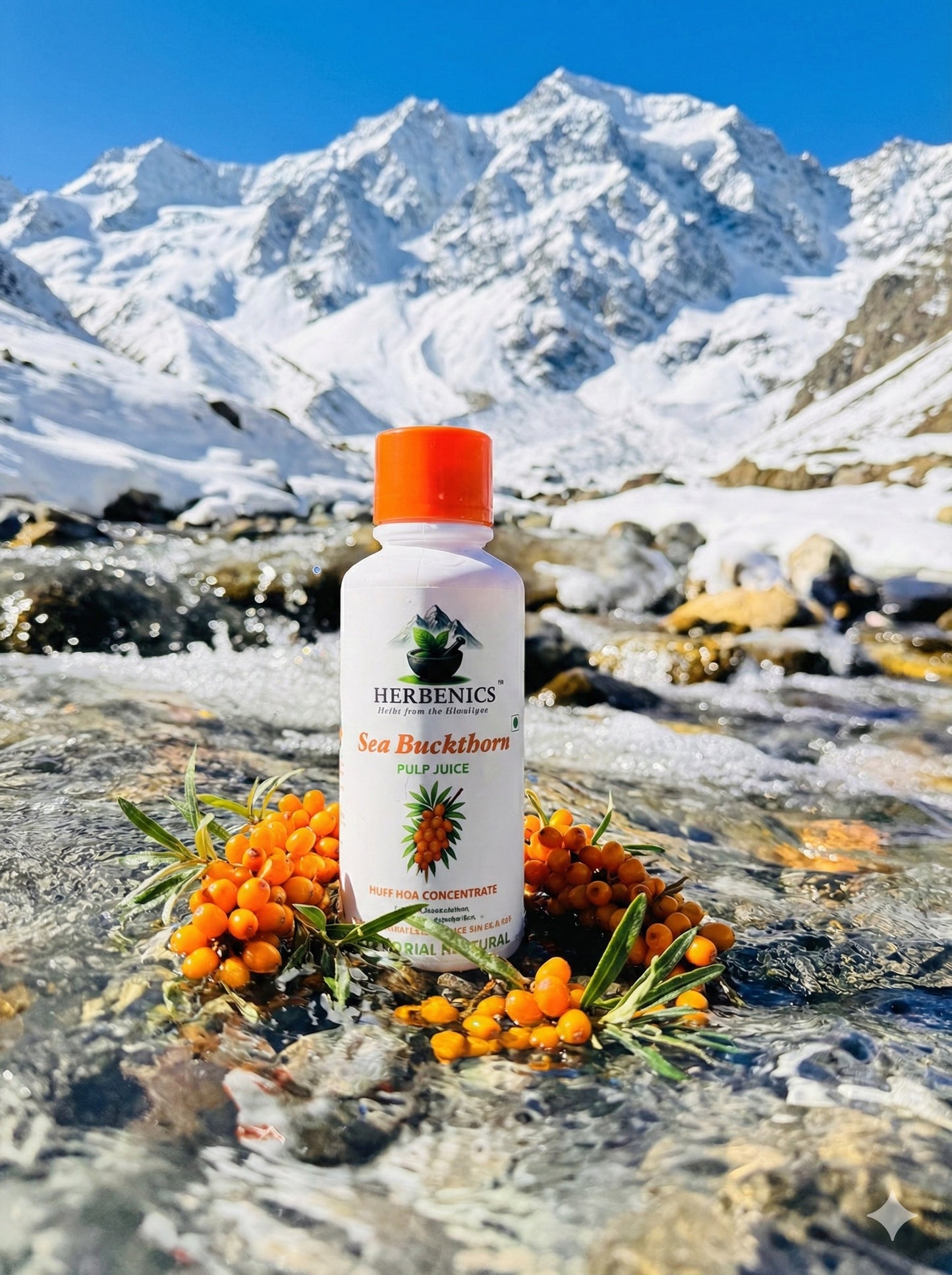 Sea Buckthorn Made In Himachal Pulp Juice, Liquid Concentrate 500ml