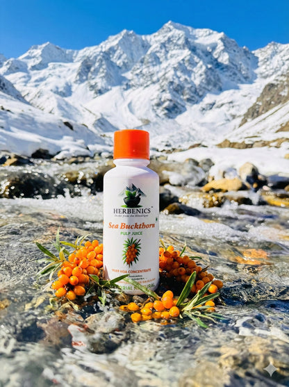 Sea Buckthorn Made In Himachal Pulp Juice, Liquid Concentrate 500ml