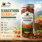 Herbenics Seabuckthorn Berry – Himalayan Superfood