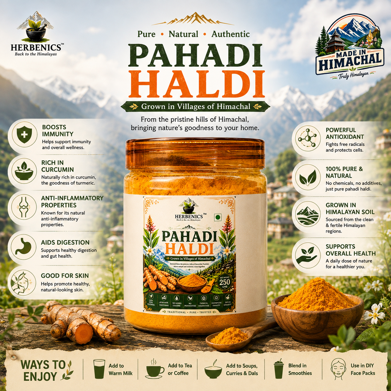 Pahadi Haldi- Rich in Curcumin
