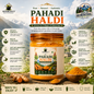 Pahadi Haldi- Rich in Curcumin