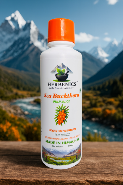 Sea Buckthorn Made In Himachal Pulp Juice, Liquid Concentrate 500ml