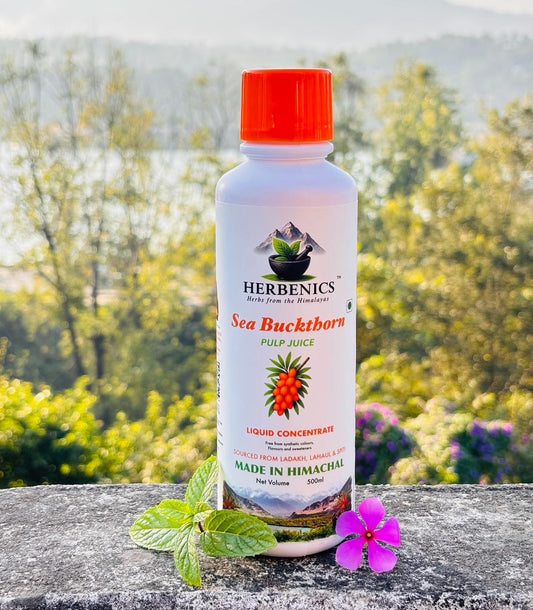 Sea Buckthorn Made In Himachal Pulp Juice, Liquid Concentrate 500ml