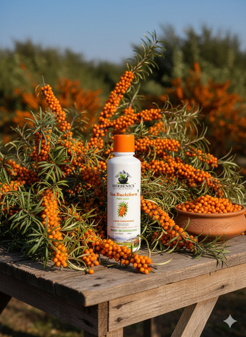Sea Buckthorn Made In Himachal Pulp Juice, Liquid Concentrate 500ml