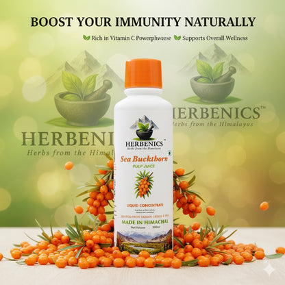 Sea Buckthorn Made In Himachal Pulp Juice, Liquid Concentrate 500ml